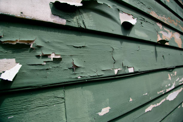 Best Electronics and E-Waste Disposal  in Ironwood, MI